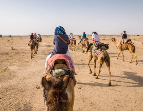 Overnight Camel Safari - Sleeping under the Stars