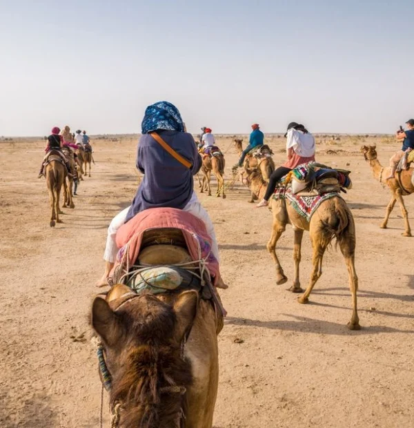 Overnight Camel Safari - Sleeping under the Stars