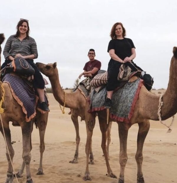 Half-Day Sunset Camel Safari in Rajasthan