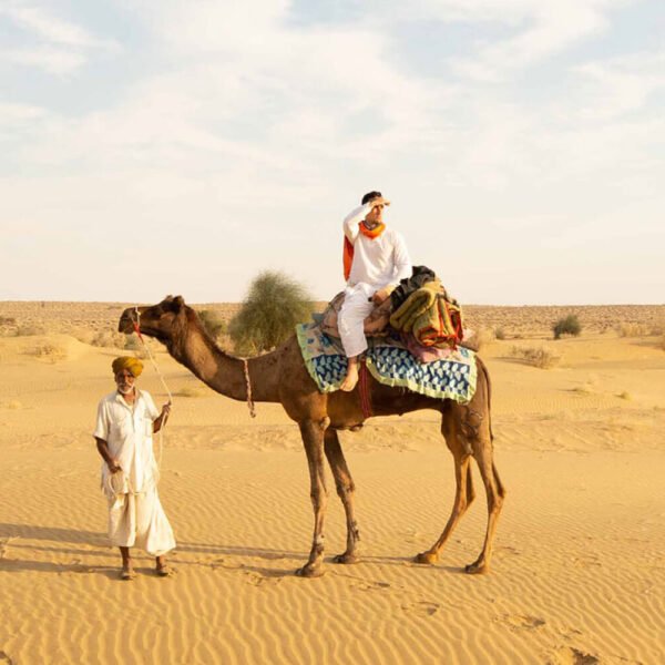 Half Day Camel Safari Package(ODC)