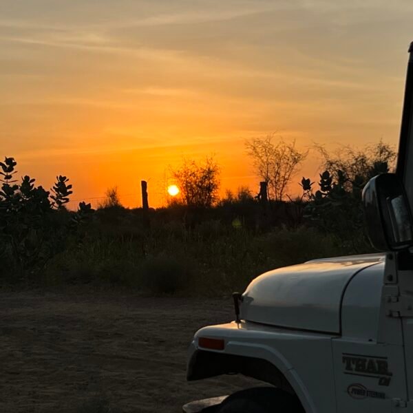 jeep safari jaisalmer