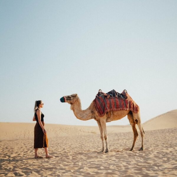 camel safari jaisalmer