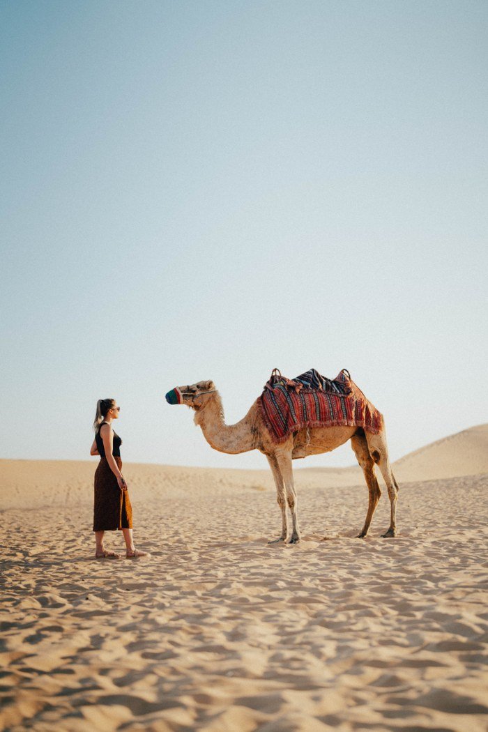 camel safari jaisalmer