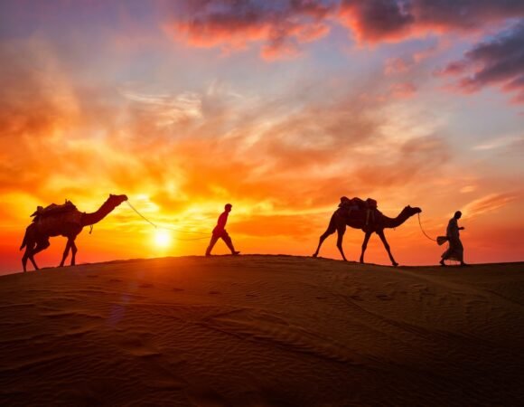 2-Hour Sunrise Camel Safari with Breakfast