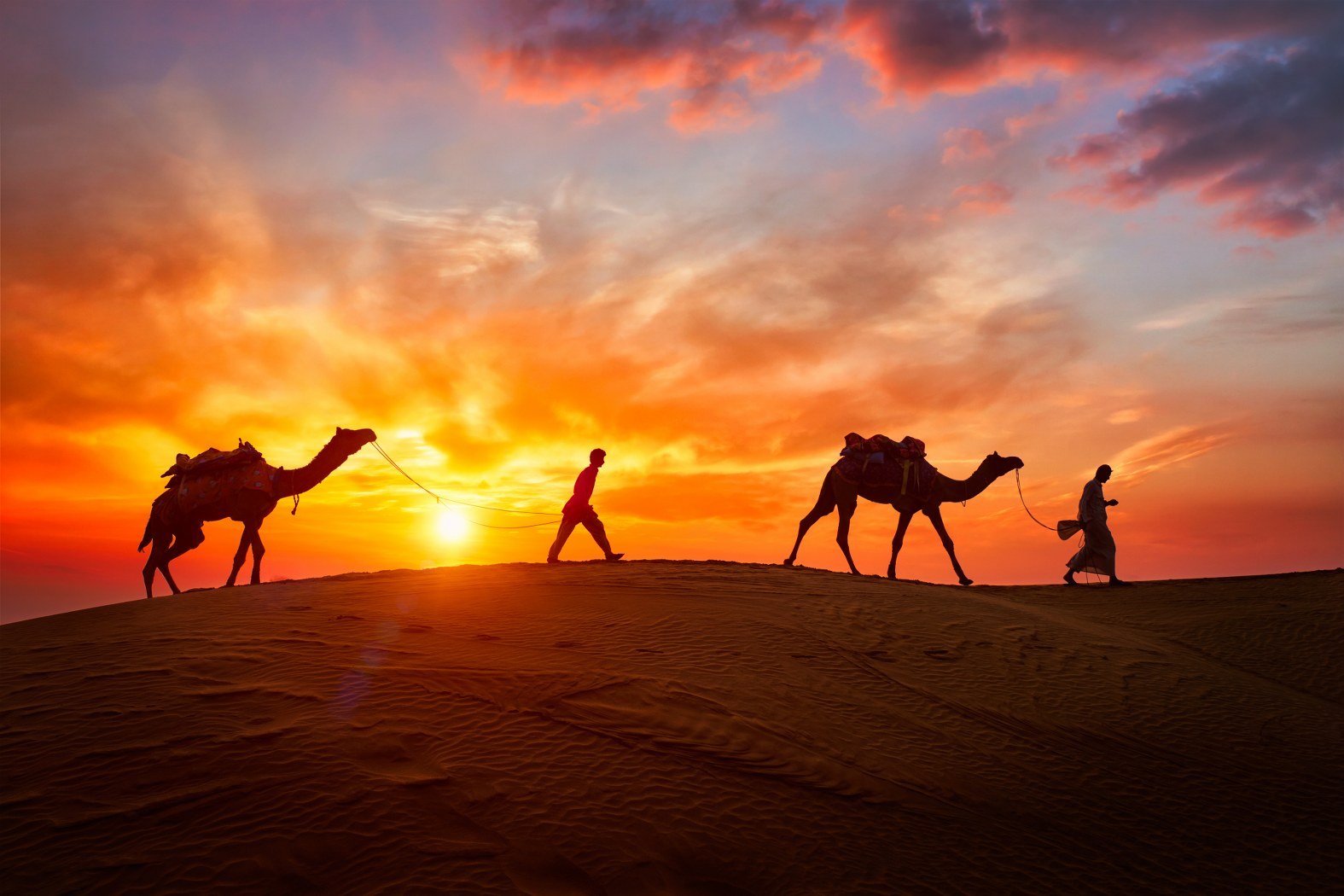 2-Hour Sunrise Camel Safari with Breakfast